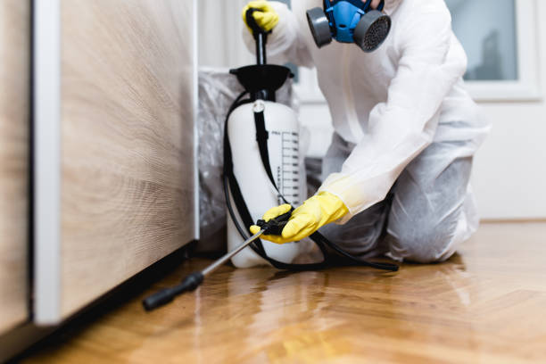 Reliable Danbury, TX Pest Control Solutions