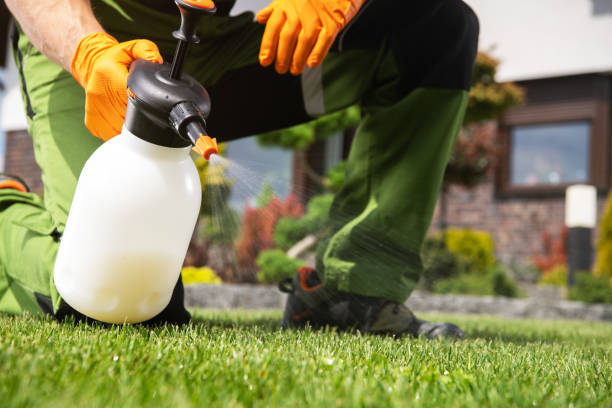 Best Insect Control  in Danbury, TX