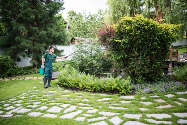 Best Ant Control Services  in Danbury, TX