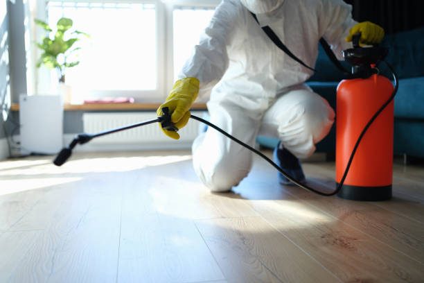 Best Flea Control Services  in Danbury, TX