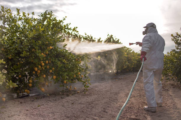 Best Rodent Control Near Me  in Danbury, TX