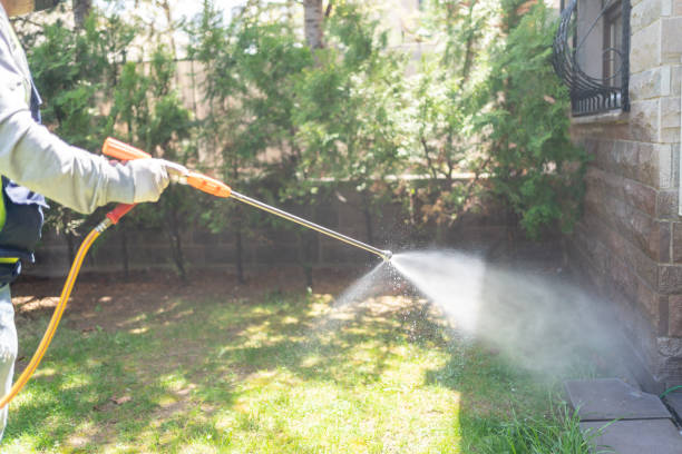 Best Pest Removal Services  in Danbury, TX