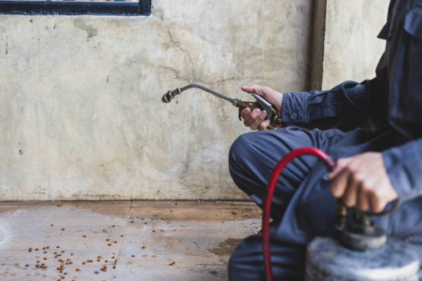Pest Control Cost in Danbury, TX